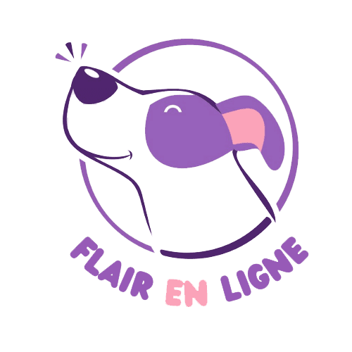 Flair en Ligne logo