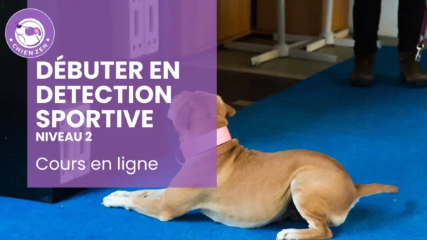 Formation en ligne débuter en détection sportive niveau 2