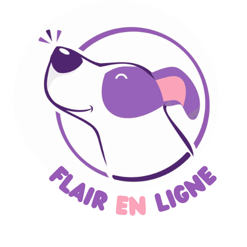 Flair en Ligne logo