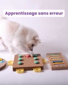 Webinaire apprentissage sans erreur