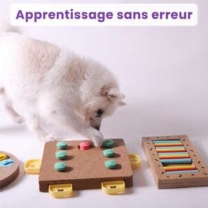 Webinaire apprentissage sans erreur