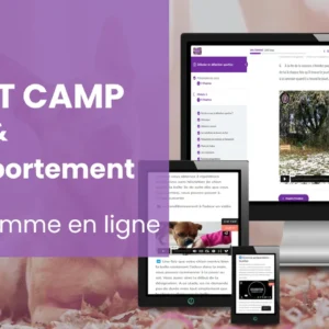 Boot Camp : Flair et Comportement