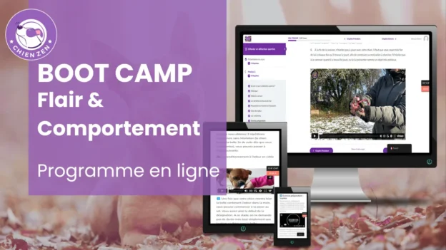 Boot Camp : Flair et Comportement