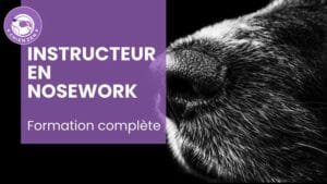 formation Instructeur en Détection sportive & Nosework