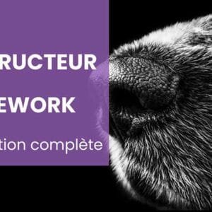formation Instructeur en Détection sportive & Nosework