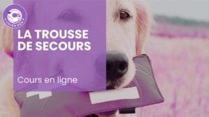 La trousse de premiers secours