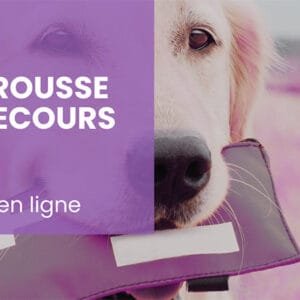 La trousse de premiers secours