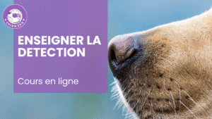 Flair et comportement