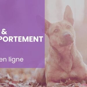 Flair & comportement : apaiser l’émotion, transformer le comportement