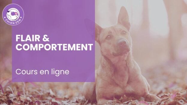 Flair & comportement : apaiser l’émotion, transformer le comportement