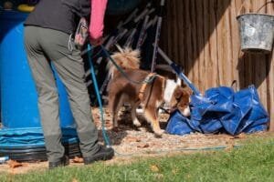 Jeux de flair versus détection