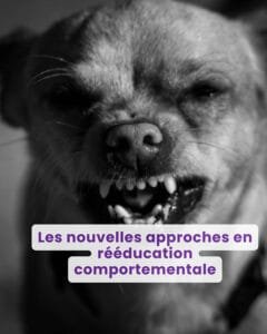 Les nouvelles approches en rééducation comportementale