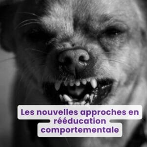 Les nouvelles approches en rééducation comportementale
