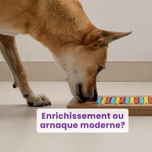 Webinaire : Enrichissement ou arnaque moderne