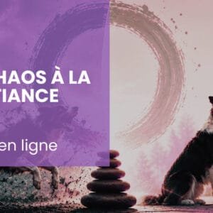 Du chaos à la confiance : comprendre et développer l’auto-régulation chez le chien