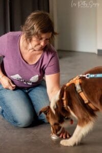Choisir ton instructeur de nosework